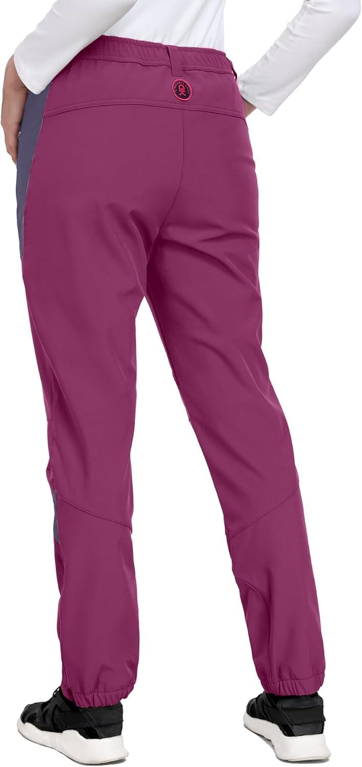 imageLittle Donkey Andy Womens Fleece Lined Waterproof Softshell Pants Hiking Ski Snowboarding PantsApurple