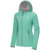 Aqua Green