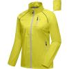 Upgrade Pocket-lemon